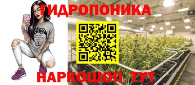 хмурый Новозыбков