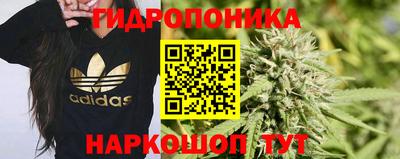 хмурый Новозыбков