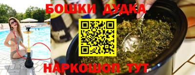 mdpv Новодвинск