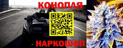 mdpv Новодвинск