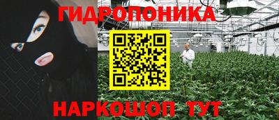 mdpv Новодвинск