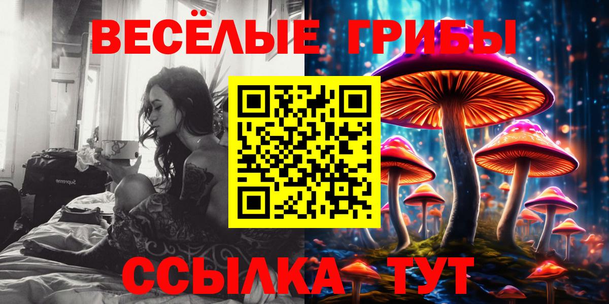 Галлюциногенные грибы прущие грибы  Вход с VPN  закладка  Галлюциногенные грибы мухоморы  Воскресенск 