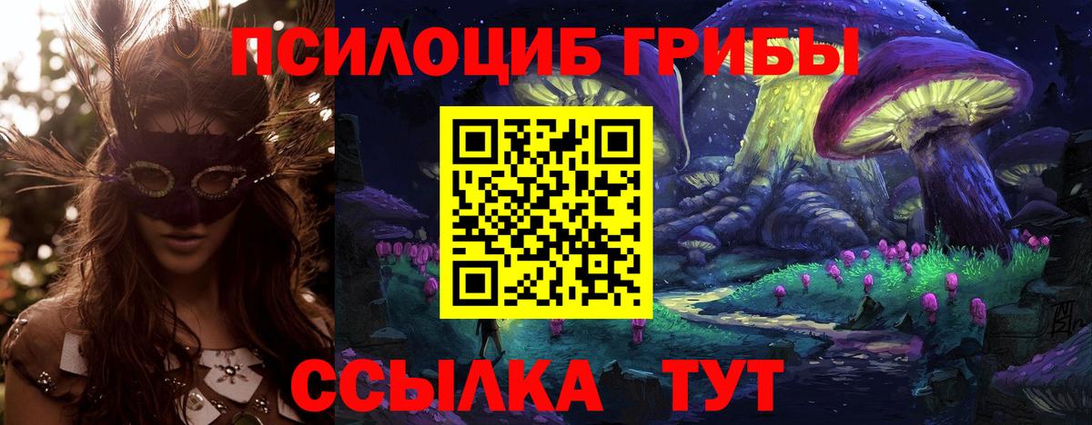 Галлюциногенные грибы мицелий Воскресенск